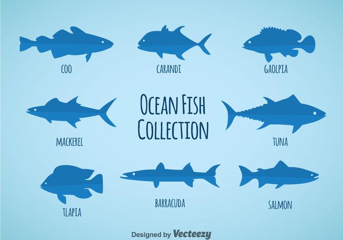 ocean-fish-collection-vector